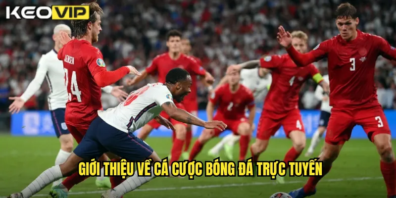 Bóng Đá Kèo Nhà Cái BG - Thị Trường Cá Cược Sôi Động Nhất 1 Giới thiệu về cá cược bóng đá trực tuyến