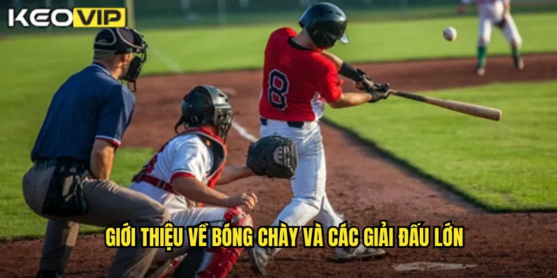 Bóng Chày Kèo Nhà Cái BG - Khám Phá Môn Thể Thao Mỹ Hấp Dẫn 1 Giới thiệu về bóng chày và các giải đấu lớn