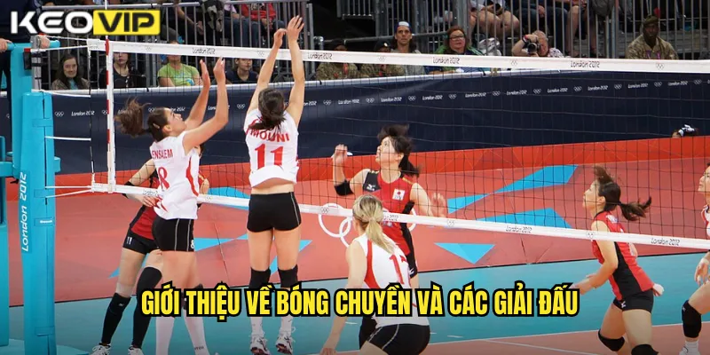Bóng Chuyền Kèo Nhà Cái BG - Sức Hút Từ Sân Đấu Quốc Tế 1 Giới thiệu về bóng chuyền và các giải đấu