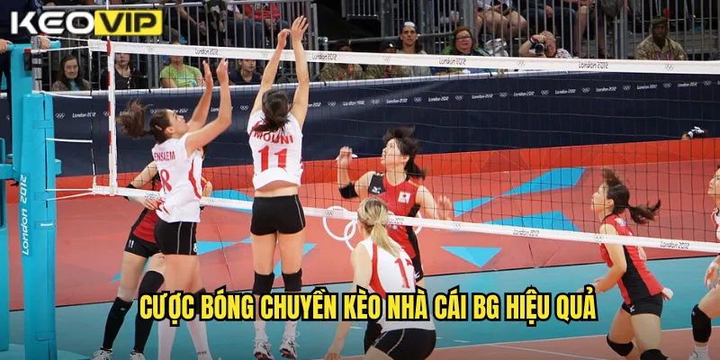 Bóng Chuyền Kèo Nhà Cái BG - Sức Hút Từ Sân Đấu Quốc Tế 2 Cược bóng chuyền kèo nhà cái bg hiệu quả