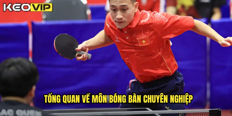 Bóng Bàn Kèo Nhà Cái BG - Tốc Độ Và Kỹ Thuật Đỉnh Cao 1 Tổng quan về môn bóng bàn chuyên nghiệp