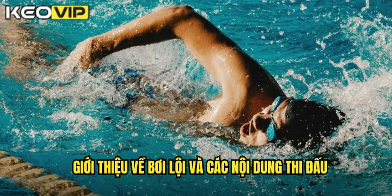 Giới thiệu về bơi lội và các nội dung thi đấu
